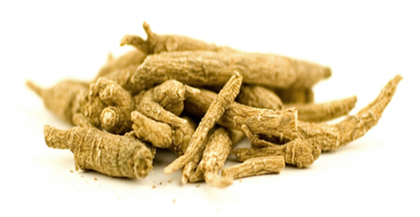 Siberian-Ginseng blogimage